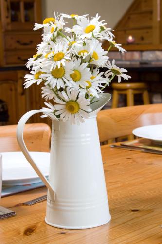 Ardagh Suites Self Catering