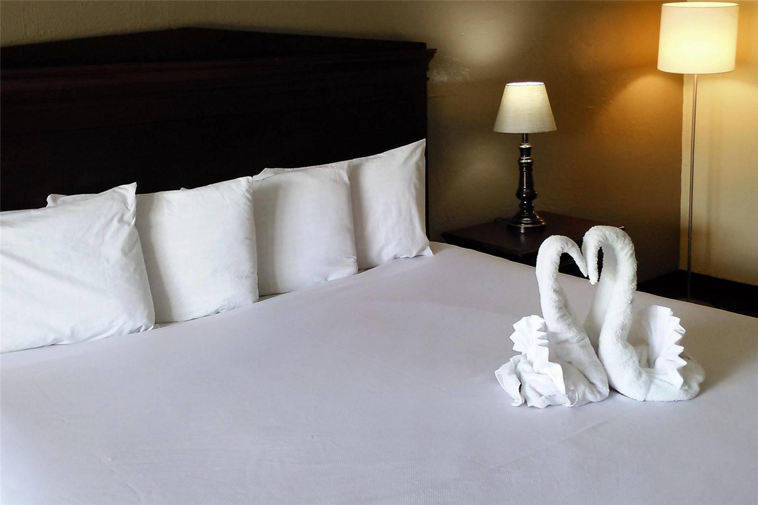 Econo Lodge Ormond Beach Area - photo 10