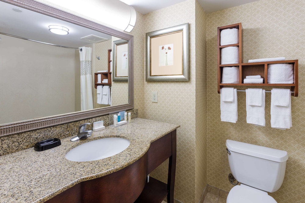 Hampton Inn Moss Point Pascagoula - photo 18