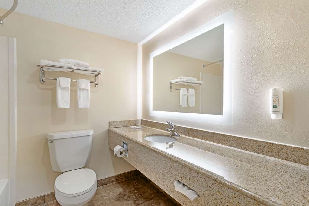 Quality Inn Valley West Point - photo 13