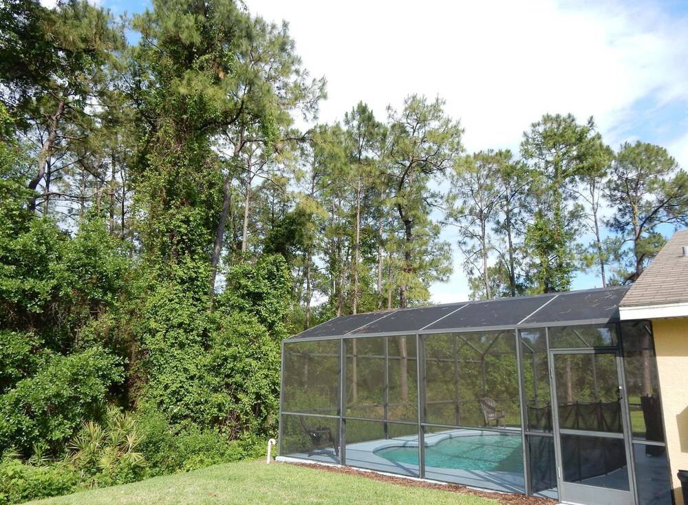 Tree Top Retreat - photo 21
