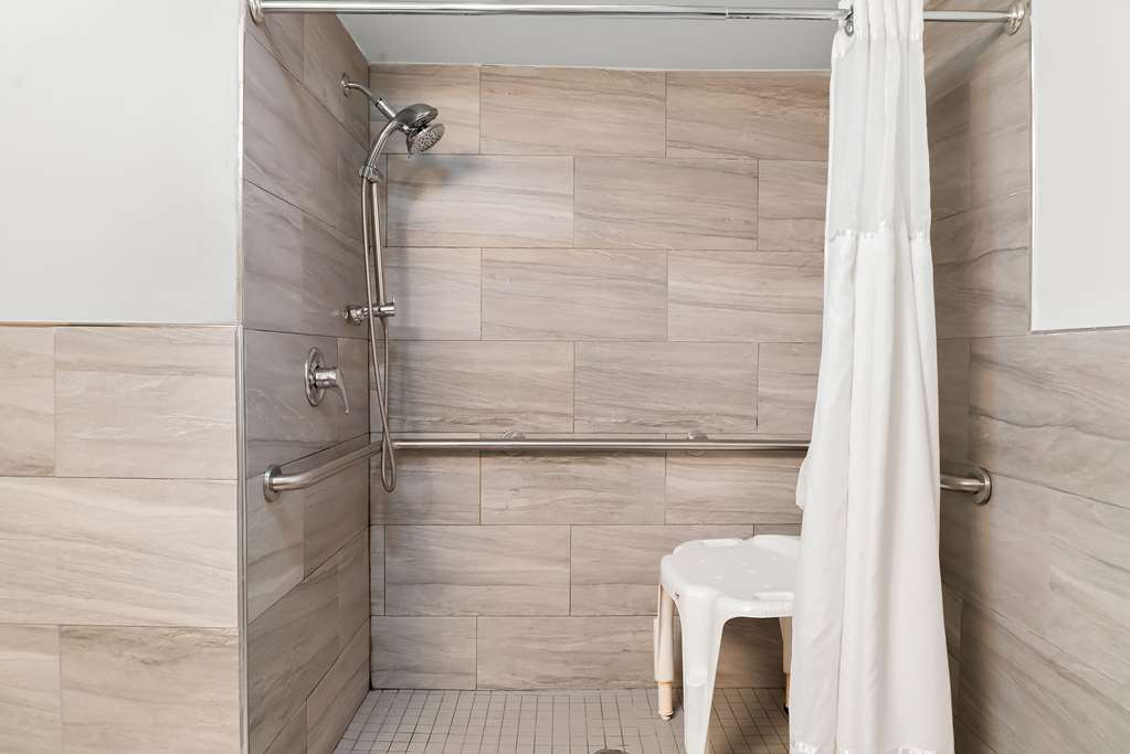 Best Western Plus Flint Airport Inn & Suites - photo 38