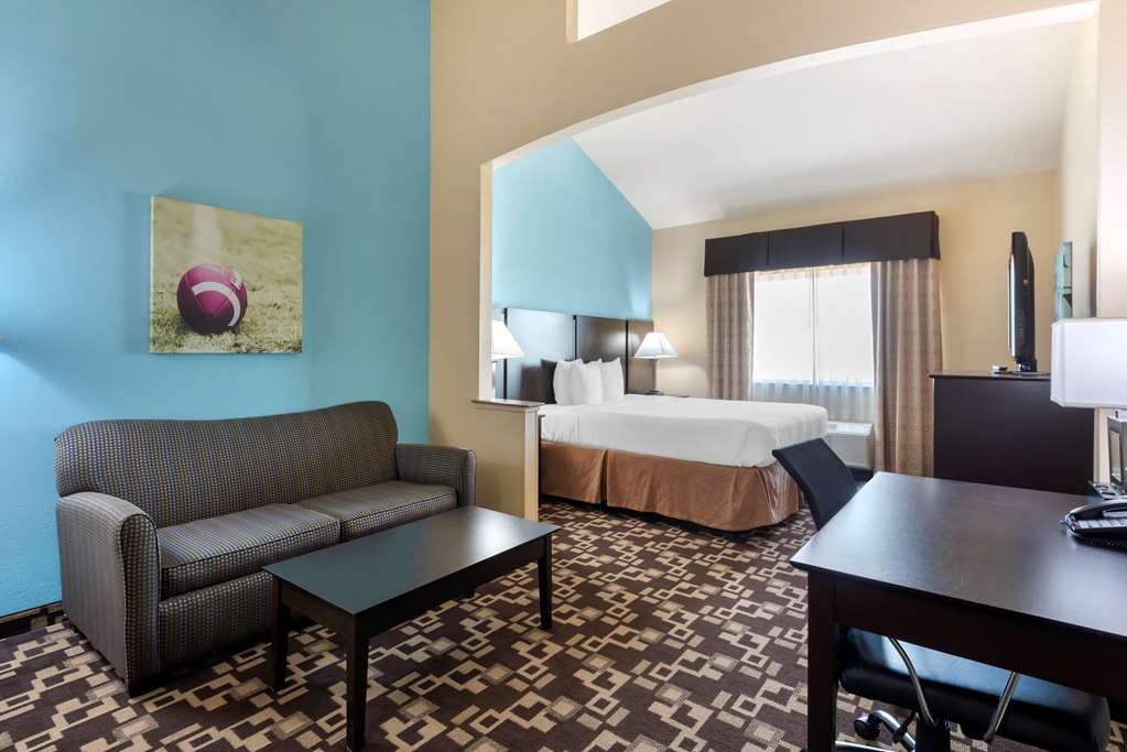 Best Western Plus Arlington North Hotel & Suites - photo 8