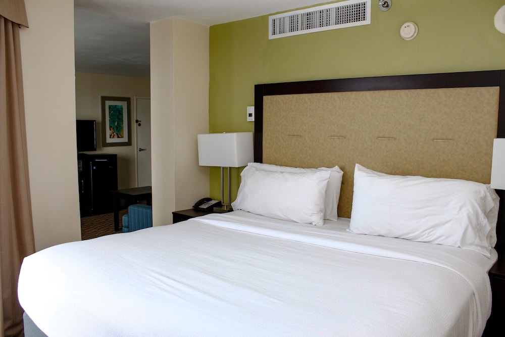 Holiday Inn Corpus Christi Downtown Marina by IHG - photo 15