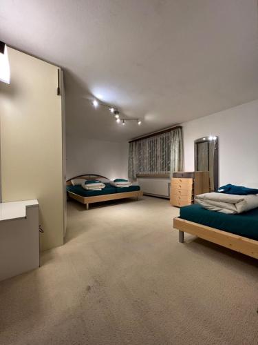 Hotel Péz Ault — Disentis — photo 3