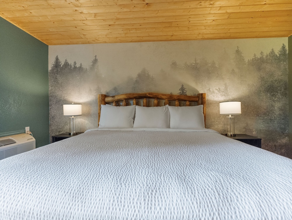 Tremont Lodge & Resort - photo 82