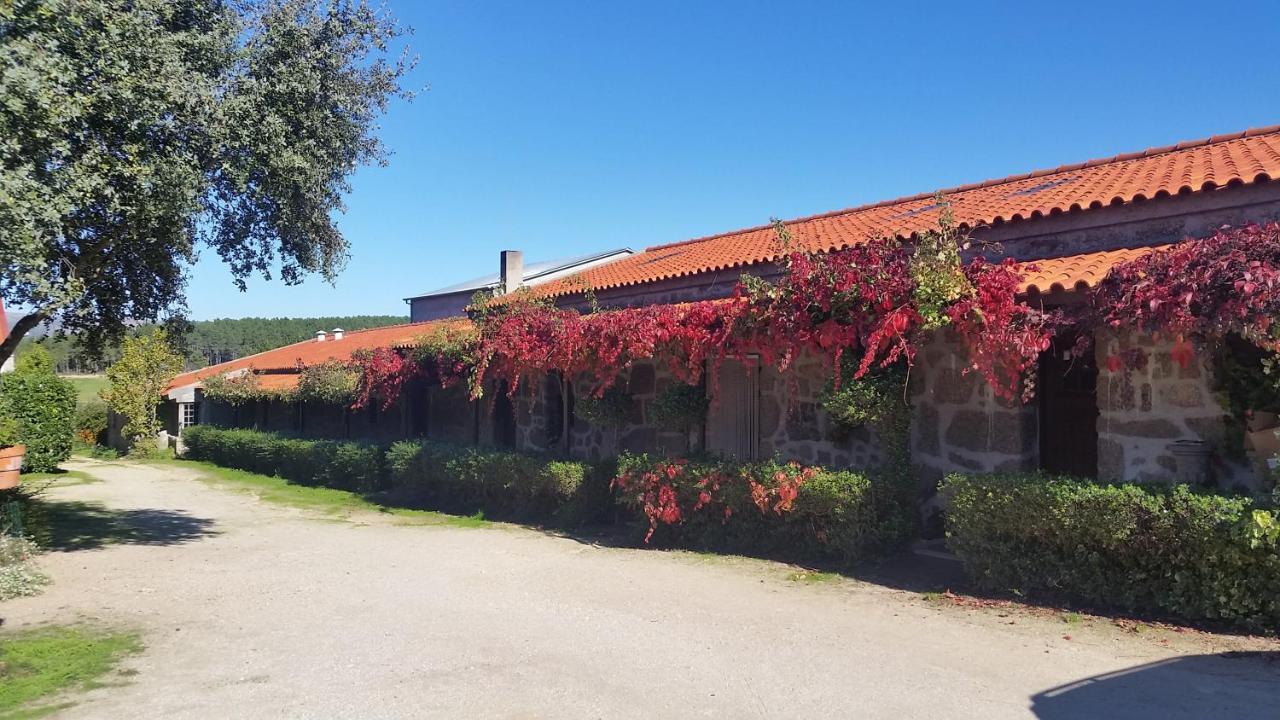 4Quintas — hotel in Celorico Da Beira