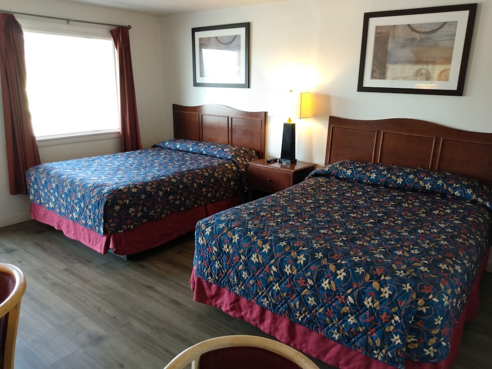 Eldorado Motel - photo 16