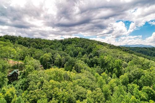 Tree Tops Hot Tub Pool table WIFI 560 FREE tickets each paid day - photo 17