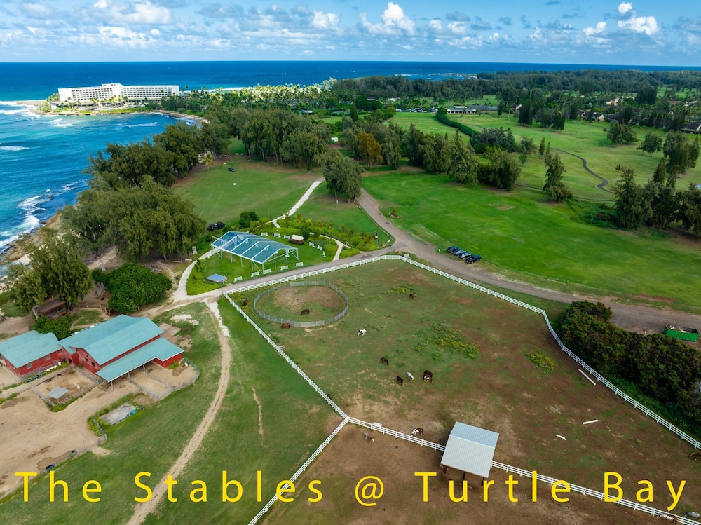 Turtle Bay Kuilima Resort East 1 Bedroom Condo by RedAwning - photo 61