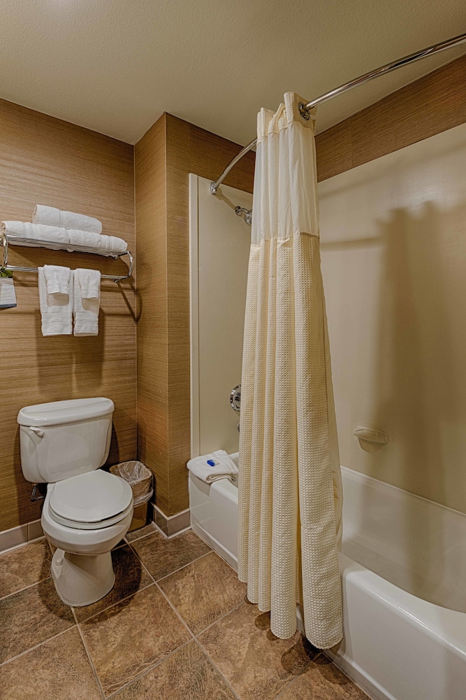 Best Western Plus Delta Inn & Suites - photo 17