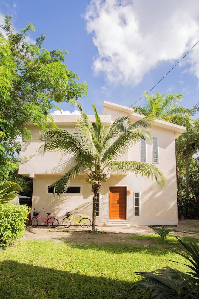 Mini Pini Birdwatching and Cenote Loft4 you Only in Cozumel, Mexico