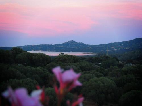Agriturismo Sa Mendhula — 4-Star Luxury Hotel in Olbia, Italy