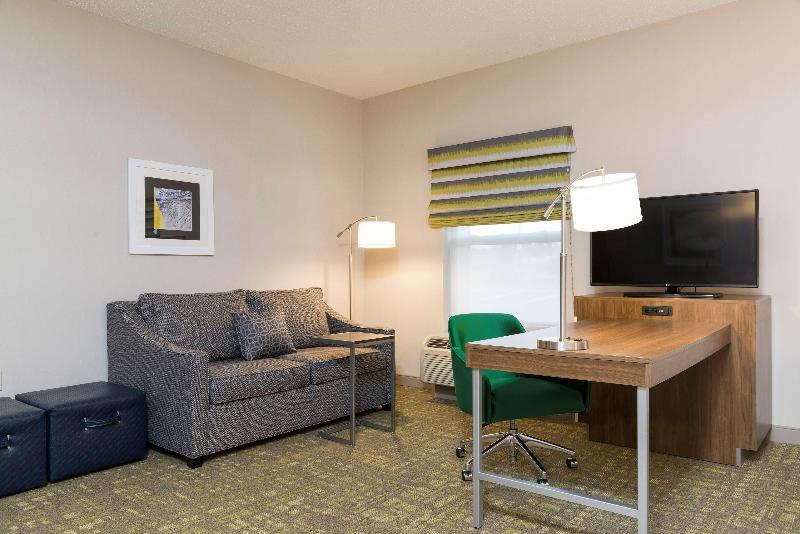 Hampton Inn & Suites East Lansing Okemos - photo 84
