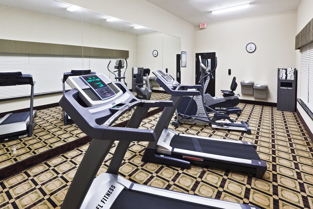 Holiday Inn Express Hotel & Suites Brownfield by IHG - photo 27