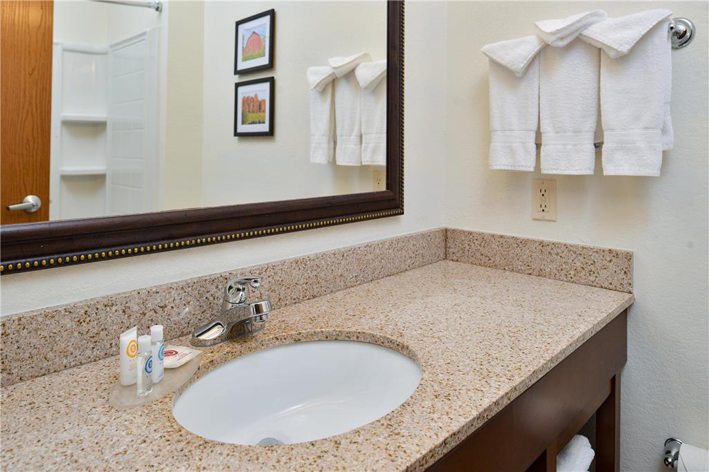 Comfort Inn & Suites Madison North - photo 9