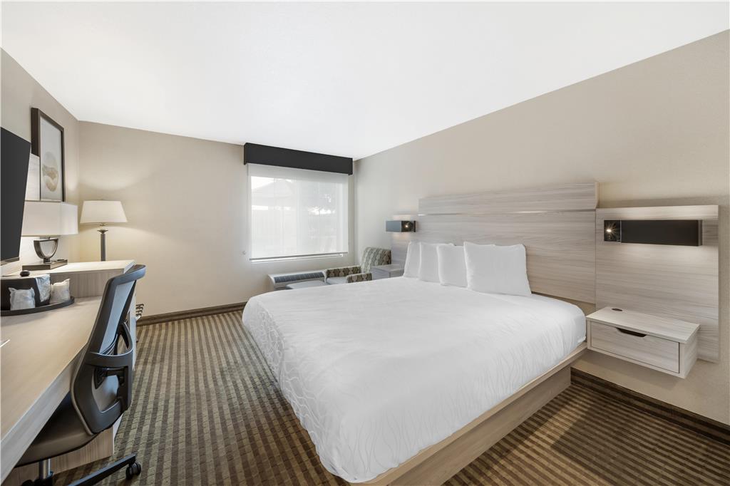 Best Western Plus Twin View Inn & Suites - photo 12