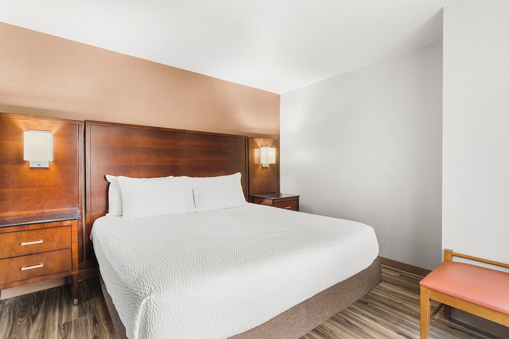 The Ashley Inn & Suites - photo 22
