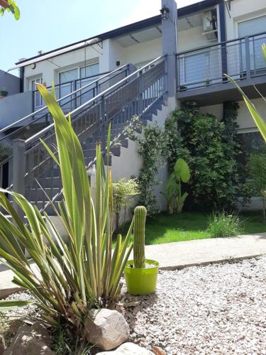El Nogal — Coronel Suarez — photo 2