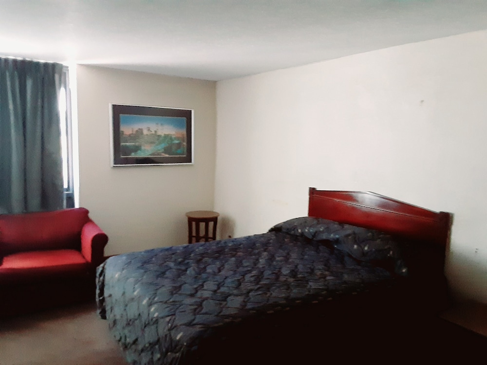 The Vegas Motel - photo 25