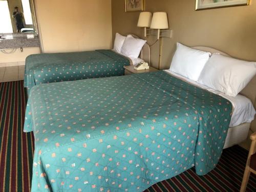 Tree Top Inn Florence - photo 23