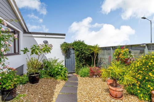 Jenny Wren in Par, United Kingdom
