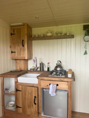Honeysuckle Shepherd's Hut — hotel in Northallerton