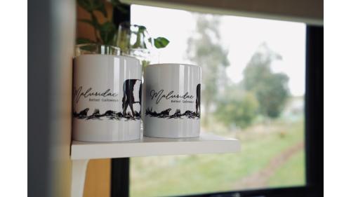 Maluridae Creek Views by Tiny Away — hotel in Lawrence