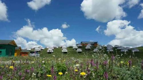 Ruo’ergai Hotel in Dazhasi, People's Republic of China