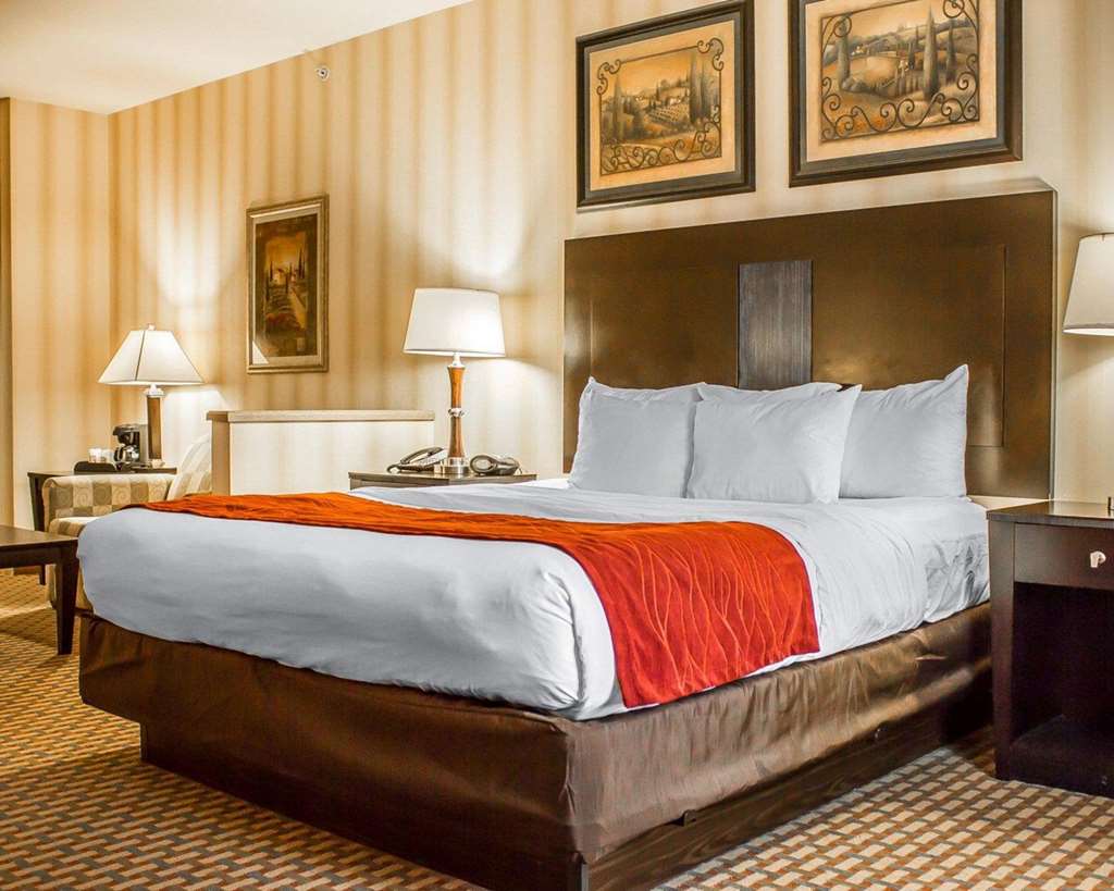 Comfort Suites Edinboro - photo 19
