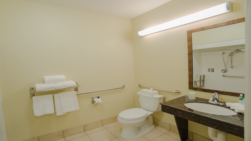 Holiday Inn Express & Suites Pampa by IHG - photo 17