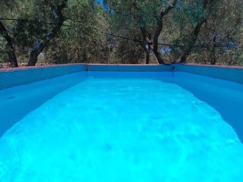 Casale Eucalipto — Monopoli — photo 2