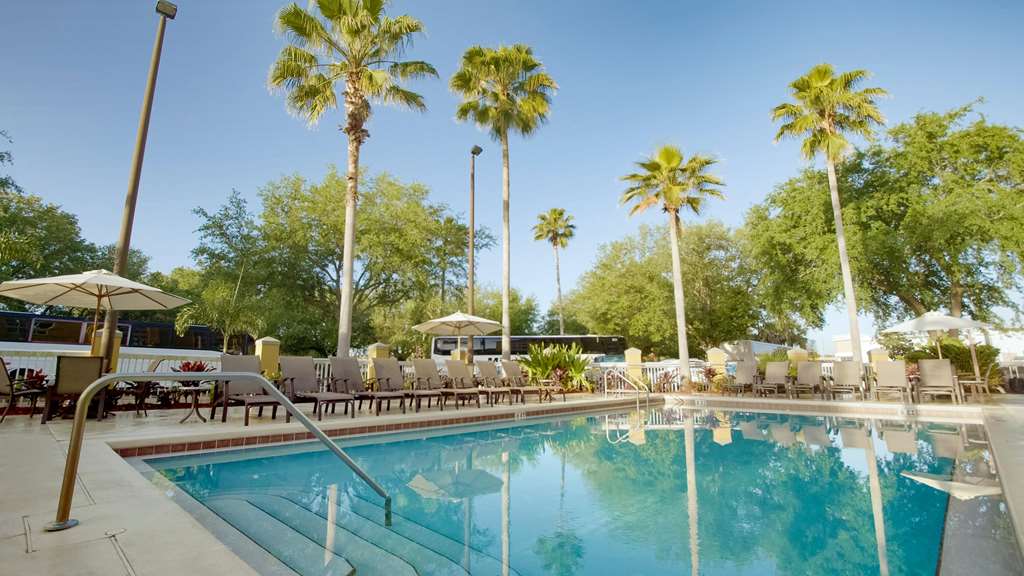 Galleria Palms Hotel - photo 56