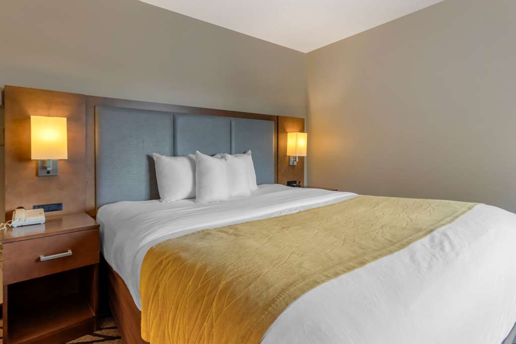 Comfort Inn & Suites Market Airport - photo 16