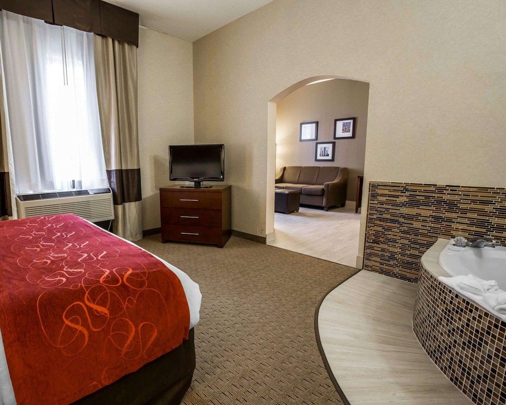 Comfort Suites Stafford Near Sugarland - photo 19