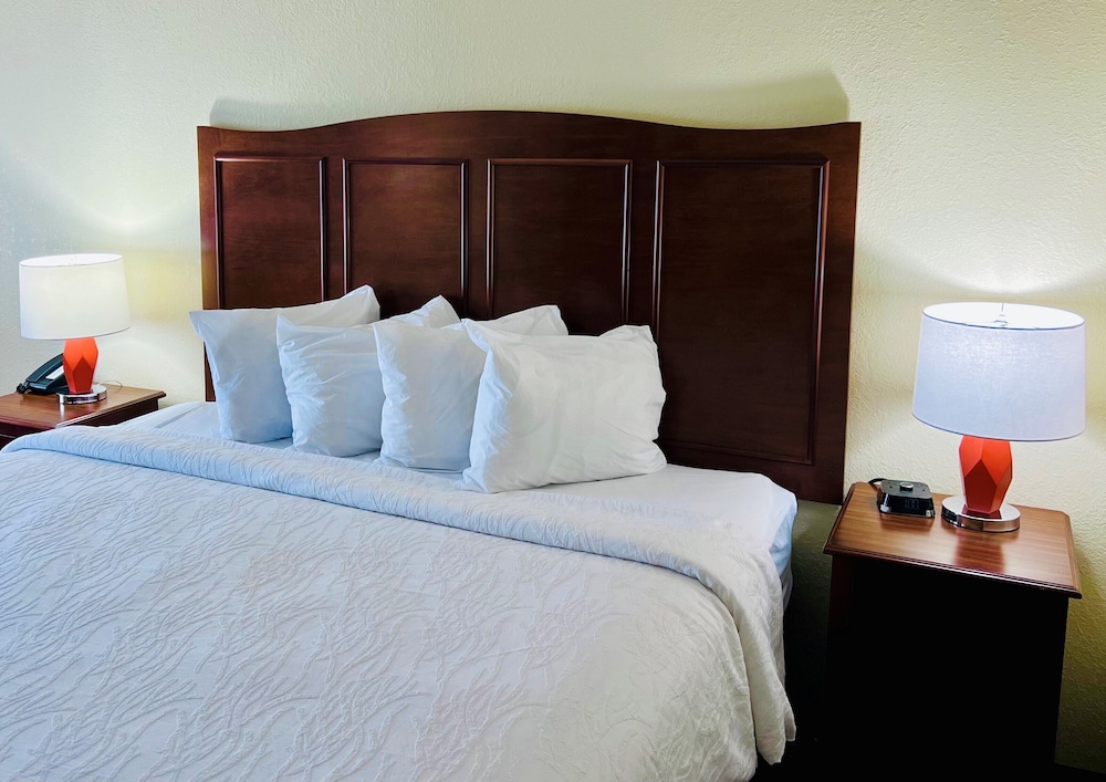 Hampton Inn Norfolk Chesapeake - photo 14