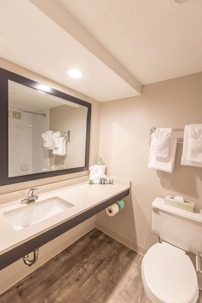 SureStay Plus Hotel by Best Western Lehigh Valley - photo 20