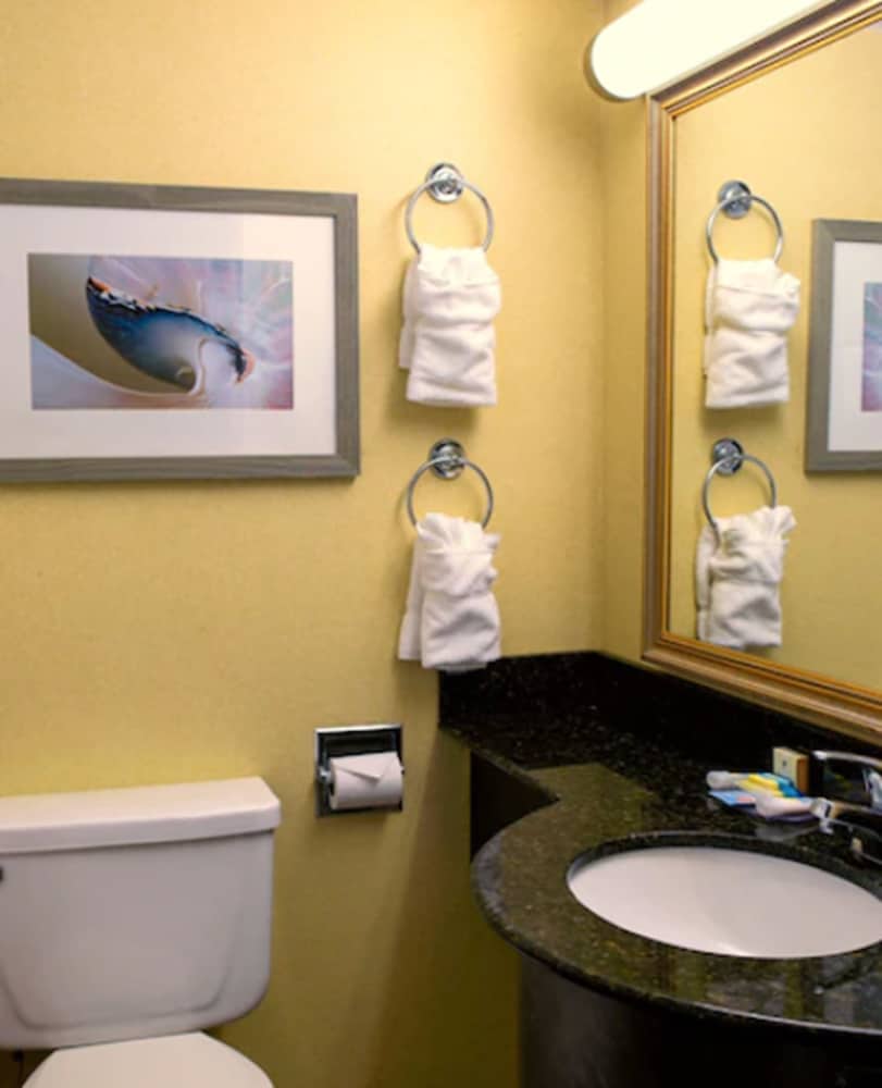 Oceanfront Inn - photo 19