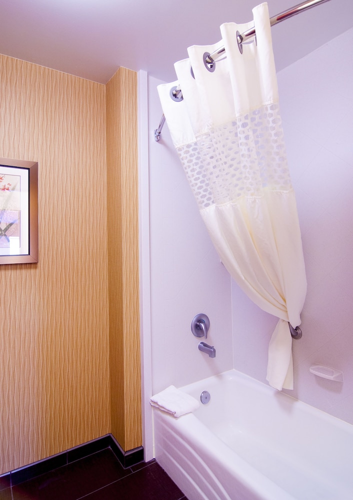 Hampton Inn & Suites Tampa North - photo 30