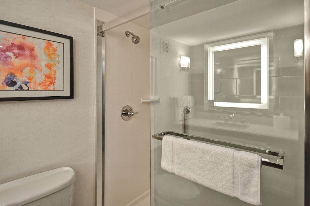 Hilton Garden Inn Detroit Metro Airport - photo 19