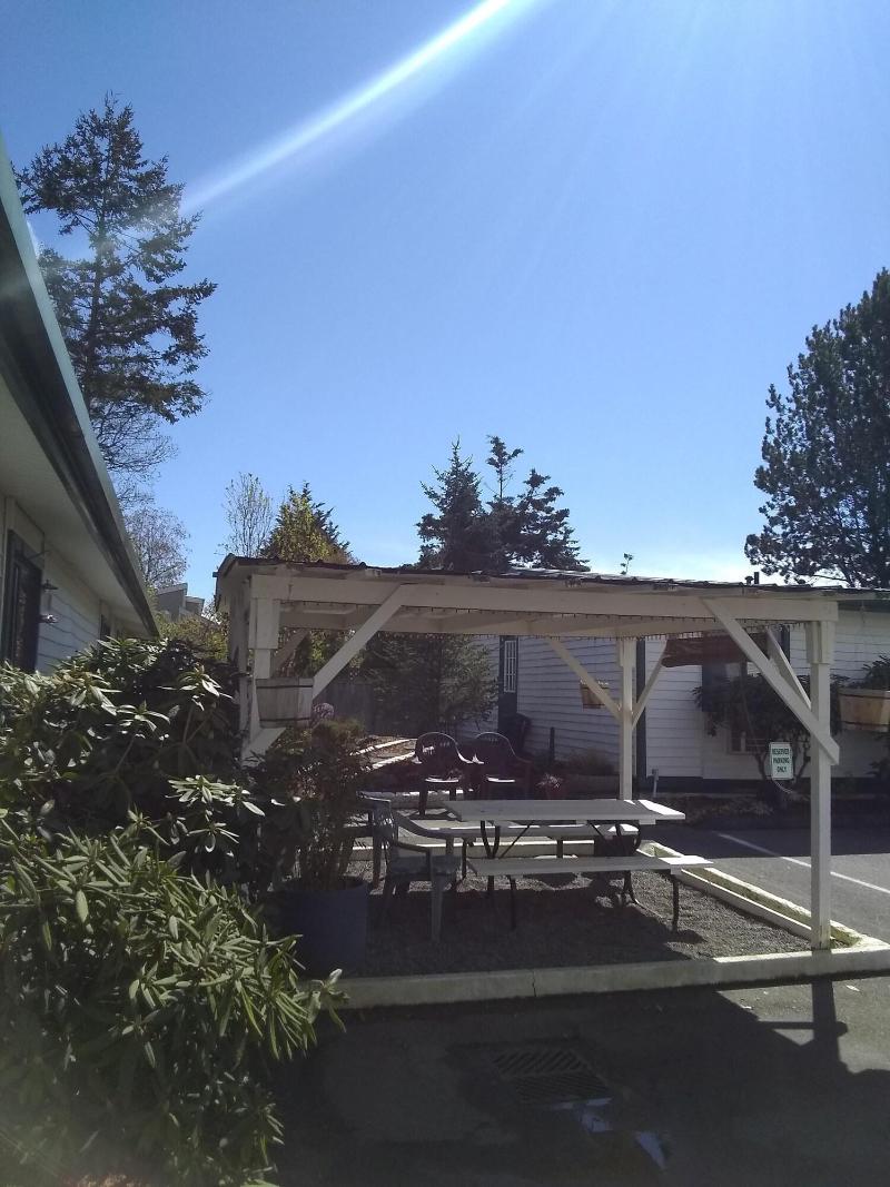 The Orca Inn - photo 26