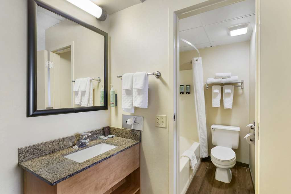 Best Western Rochester Marketplace Inn - photo 25