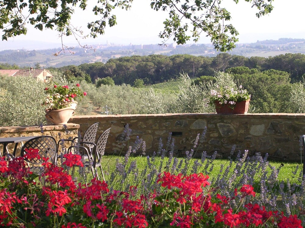 Fattoria di Corsignano — Castelnuovo Berardenga — photo 3