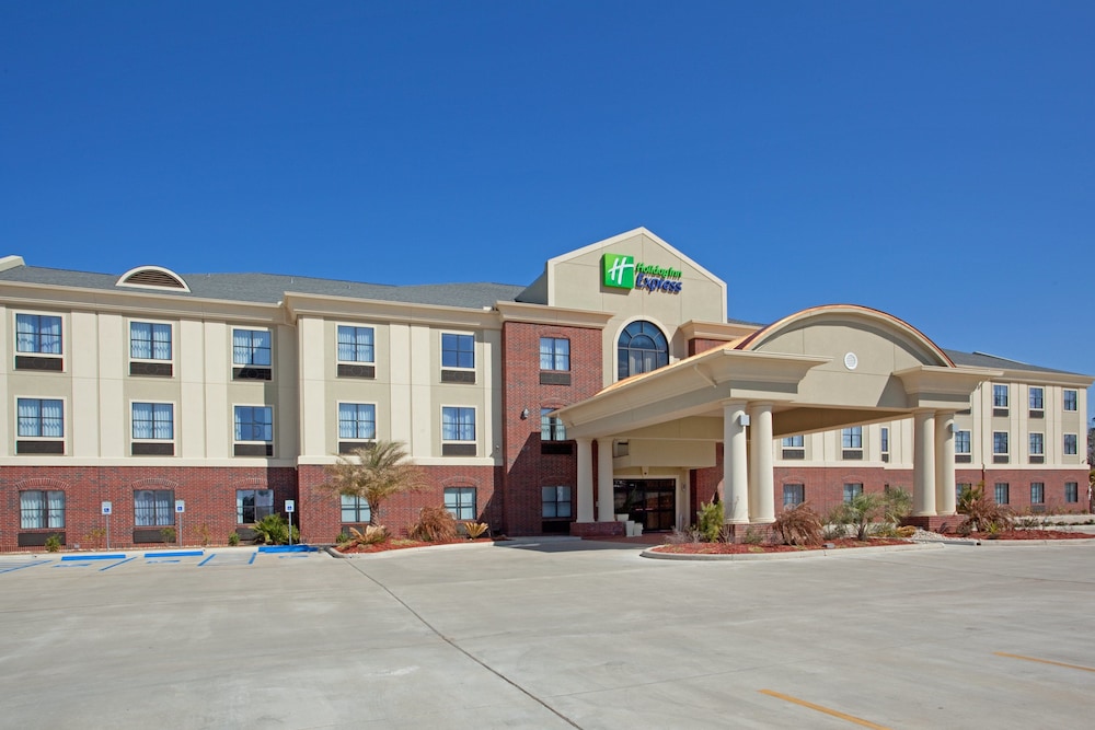 Holiday Inn Express Hotel & Suites Vidor South - photo 49