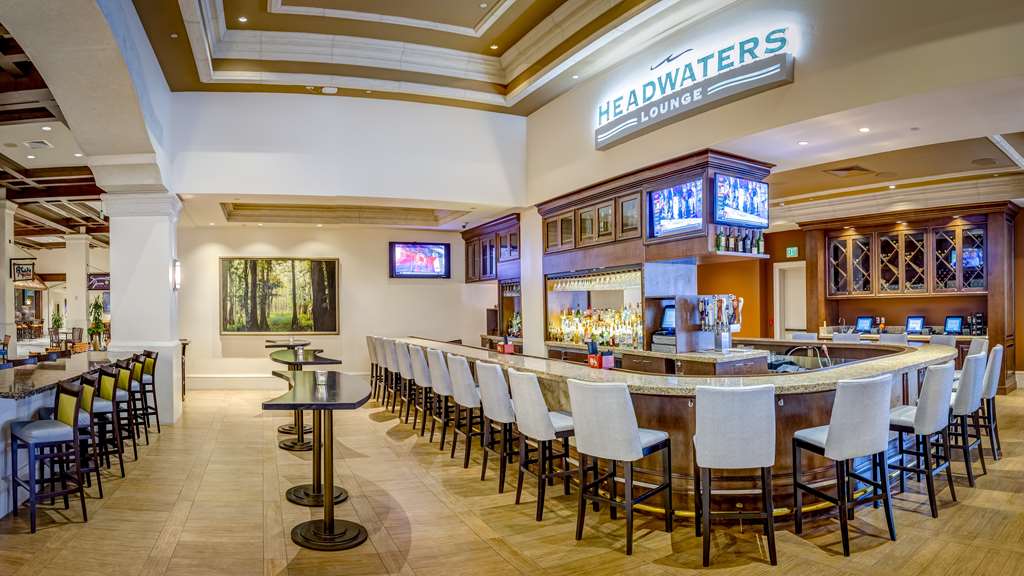 Rosen Shingle Creek - photo 73