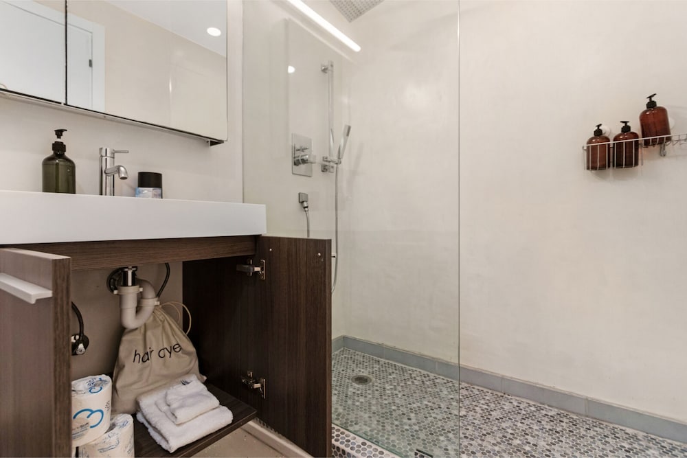Roami at 250 Collins - photo 116