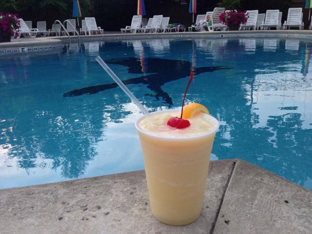 The Raven Resort - photo 12