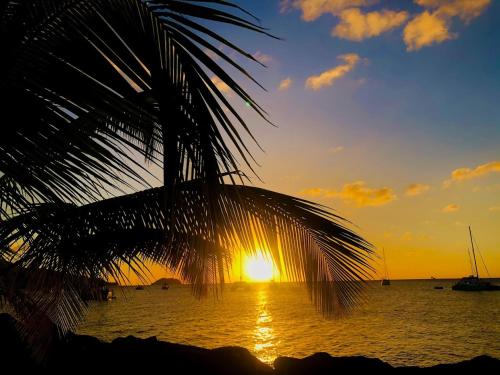 F2 proche plage Anse Mitan — 4-Star Luxury Hotel in Les Trois-Ilets, Martinique
