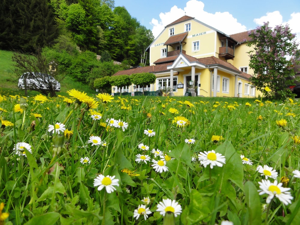 Familiengasthof Maier pet-friendly hotel Mautern In Steiermark