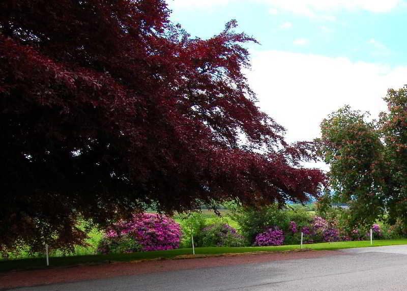 The Urr Valley Country House Hotel